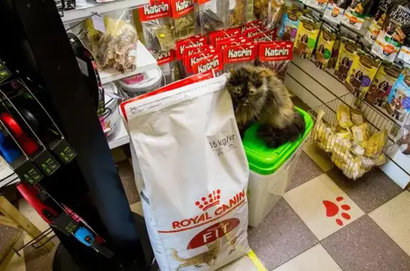 Зоогостиница и зоосалон МартВект на метро Петровский парк