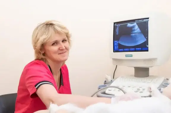 Юниор, ветеринарная клиника