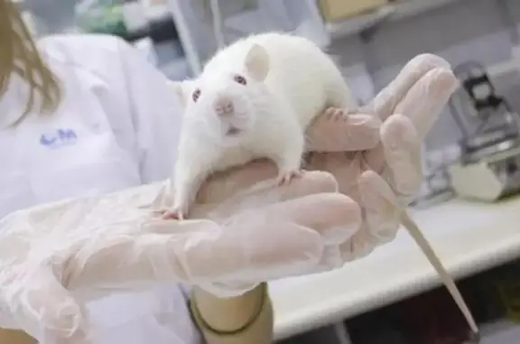 Выездная ветеринарная клиника Зоомир на Университетской улице