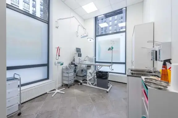 Ionvet, ветеринарный центр