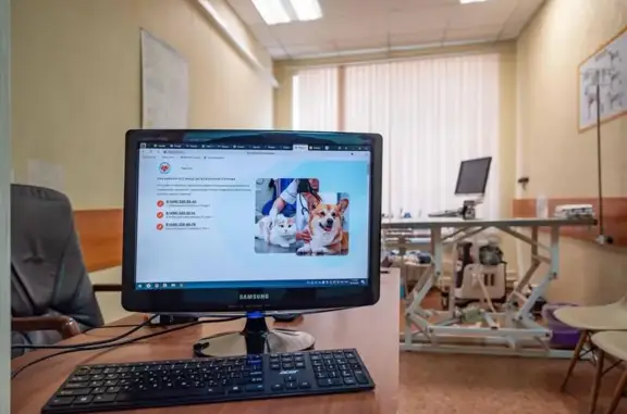 Корги-вет, ветеринарная клиника