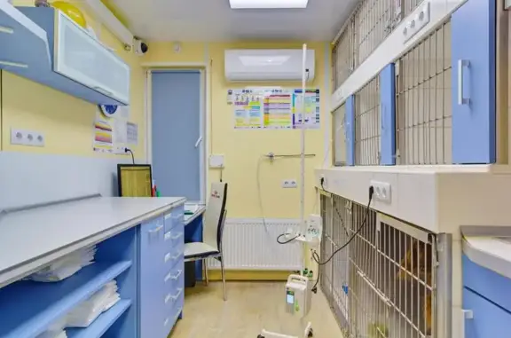 БКВет, ветеринарная клиника