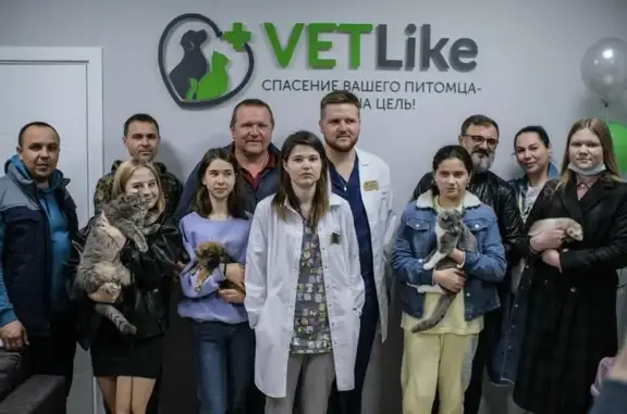 VetLike, ветеринарная клиника