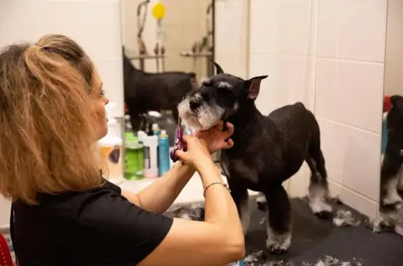 Ветеринарный центр доктора Базылевского А.А.