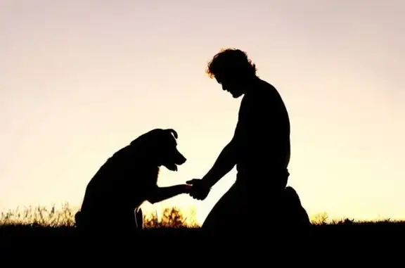 Мосветцентр на улице Россолимо