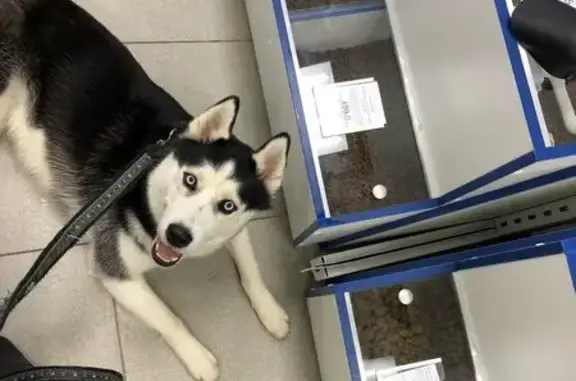 Ветеринарная аптека Краснодарзооветснаб на улице Хакурате