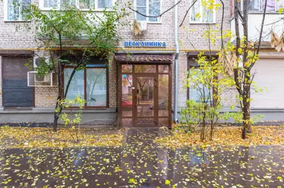 ЛеоВет, ветеринарная клиника