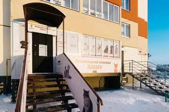 ЖИВАГО, ветеринарный центр