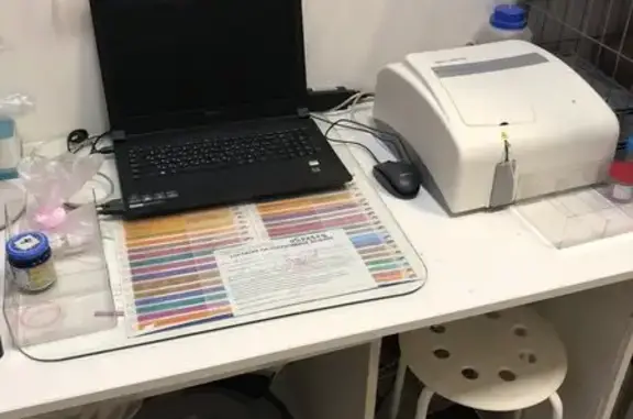 Леопольд, ветеринарная клиника