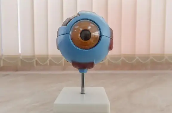 Дали, ветцентр