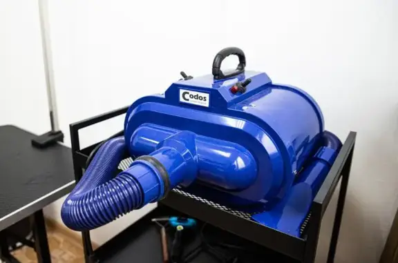 Салон профессионального груминга City Groom