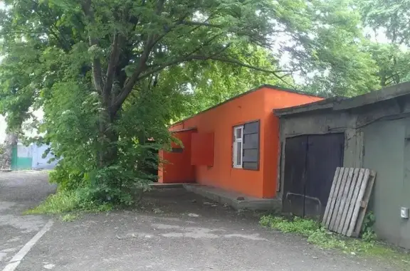 Институт ветеринарной биологии, ветеринарный центр