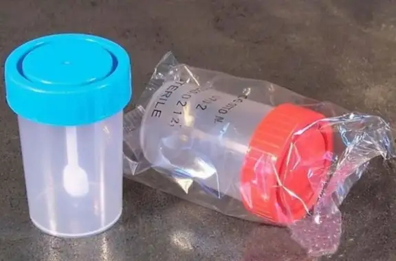 Ветеринарная клиника доктора Осипова