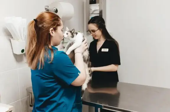 Ветеринарная клиника Зоосити Лайф на проспекте Победы