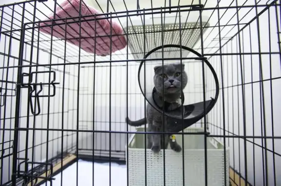 Авет, ветеринарный центр