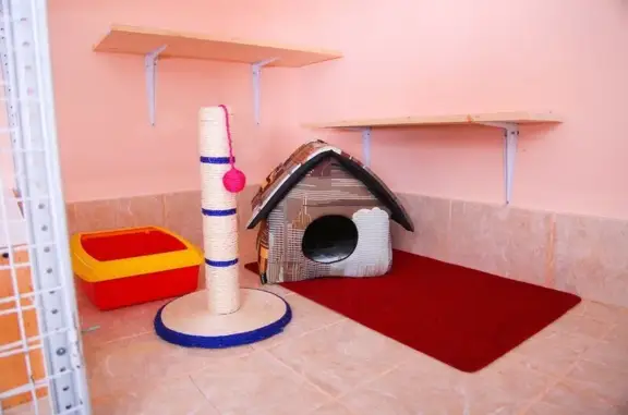 Гостиница для кошек Котофей на Прогонной улице