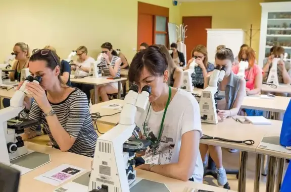 Мегавет, ветеринарная клиника