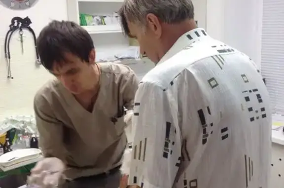 Zoo забота, ветеринарный центр