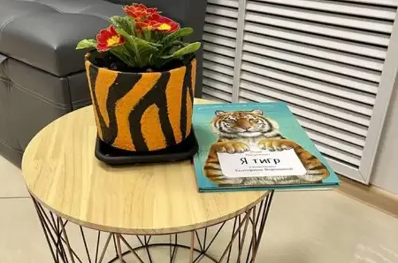 Шерхан, ветеринарная клиника