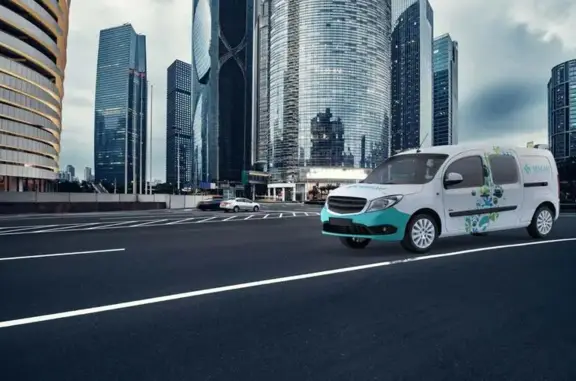 Лебеди, сеть ветеринарных центров малотравматичной хирургии и комплексного восстановления