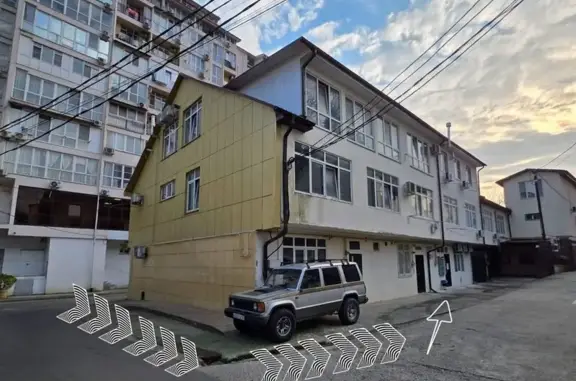 Зоовита, ветеринарная клиника