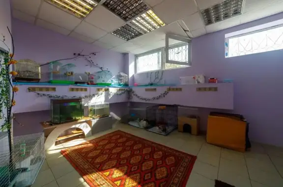 Ветеринарный центр им. Глазковой