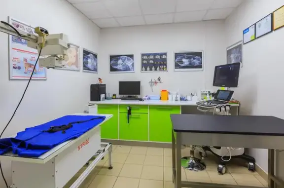 Лимпопо, ветеринарная клиника