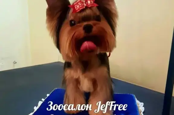 Зоосалон JeFfree на улице Олега Кошевого, 9