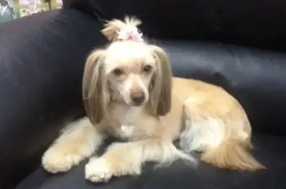 Зоосалон Любимка в Невском районе