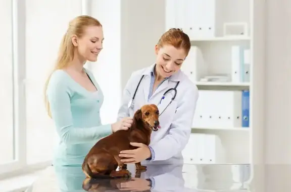 Нежный зверь, ветеринарный центр