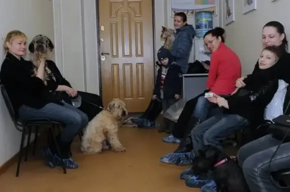 Водолей, ветеринарная клиника