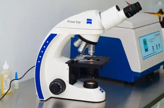 Клиника патологоанатомического исследования животных Вет эксперт на Комсомольском проспекте