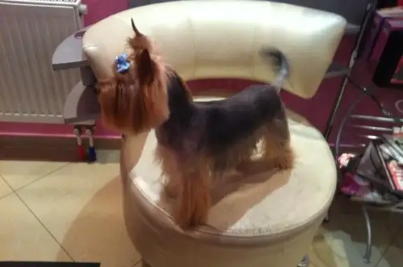 Зоосалон Жули на Бухарестской улице