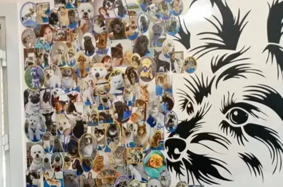 Груминг-салон Алиса на улице Григория Чорос-Гуркина