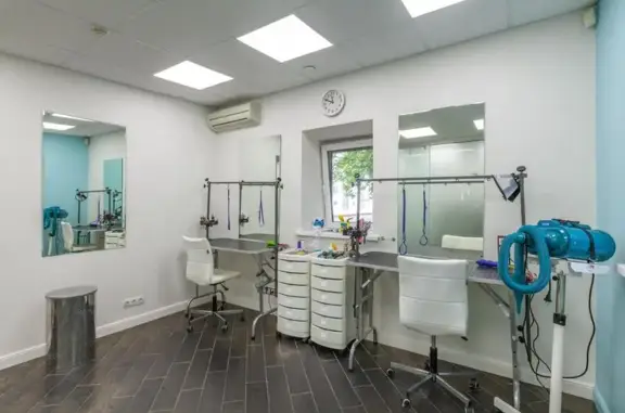 Студия груминга Kotik