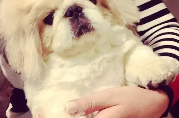 Джим, ветеринарная клиника