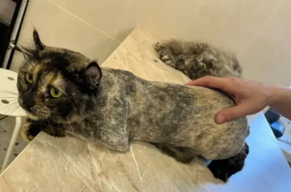 Ветеринарная клиника ДАР