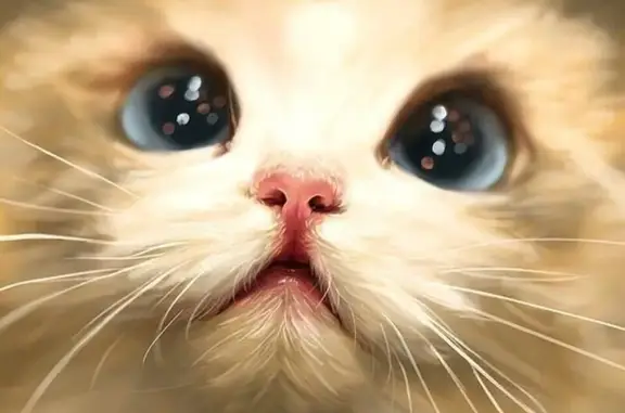 Жизнь, ветеринарный центр