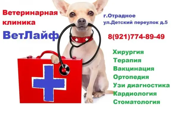 Ветлайф, ветеринарная клиника