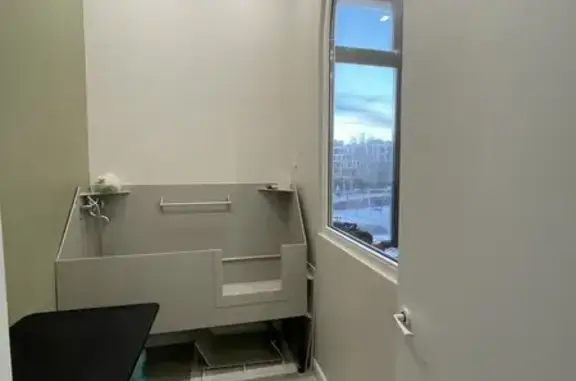 Point, ветеринарный центр