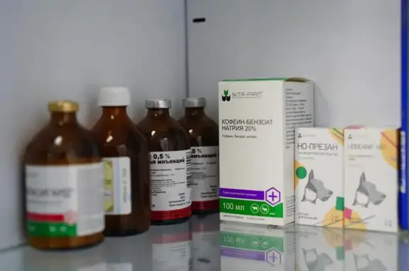 ВетПрофи, ветеринарная клиника