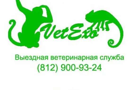Ветеринарная служба VetExo