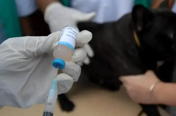 Тимирязевский, ветеринарный центр