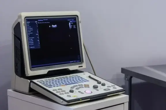 Ветеринарная клиника Dr.Fox на Горсоветской улице, 33