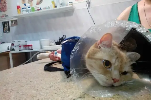 Велес, ветеринарная клиника