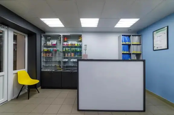 Ветеринарный кабинет ЛЕО в Октябрьском округе