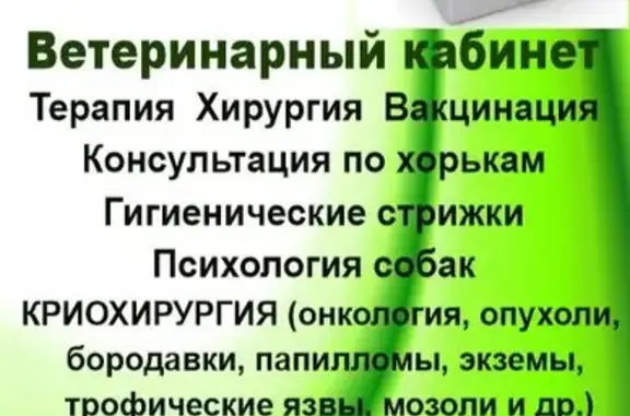 Ветеринарная клиника My vet на Клубничной улице