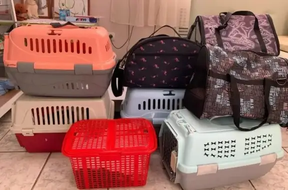 Ветеринарный госпиталь НашВет на улице Тимирязева