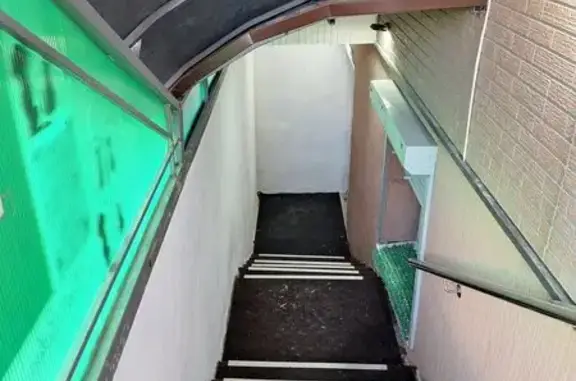 Груминг-салон Зоошик на Комсомольской улице