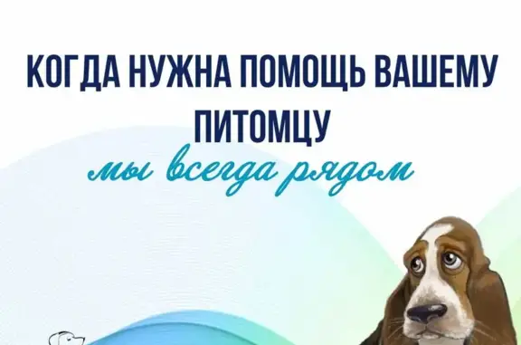 Ветеринарный центр Белый Бим на Юнтоловском проспекте